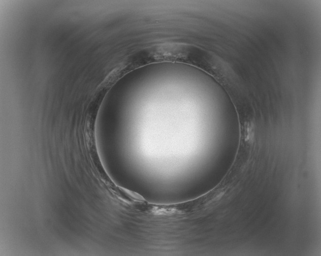 X0000081490915200701191854