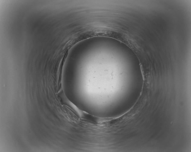 X0000081490916200701191854