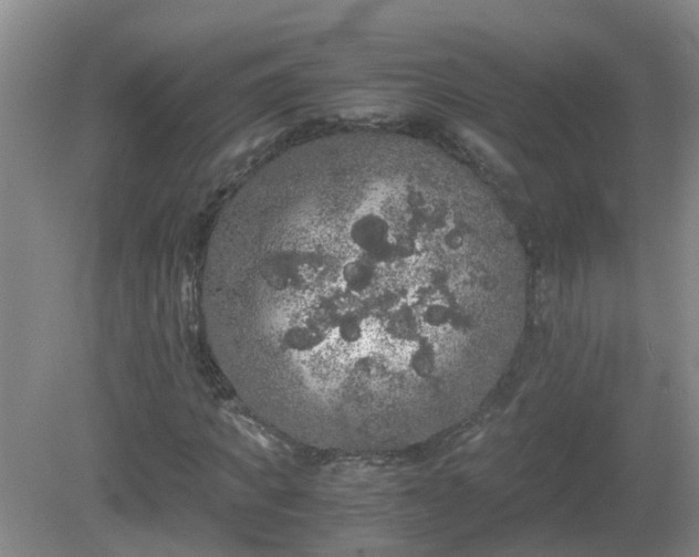 X0000081490917200701191854