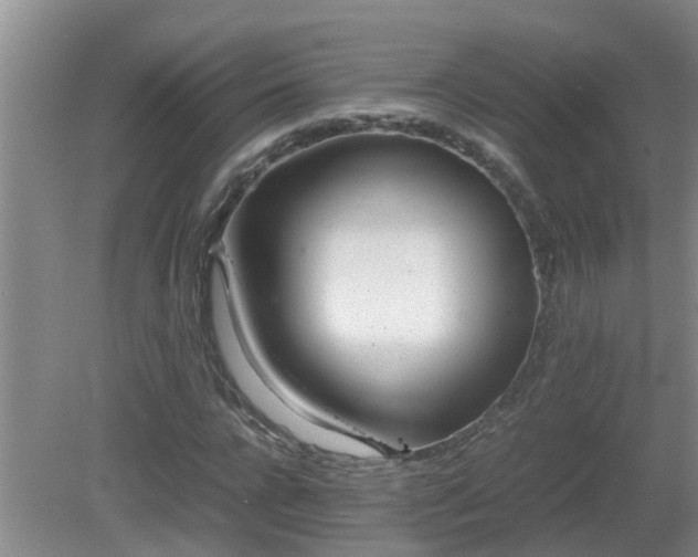 X0000081490920200701191854