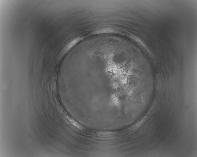 X0000081490921200701191854