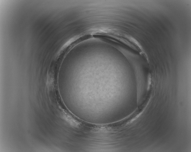 X0000081490922200701191854