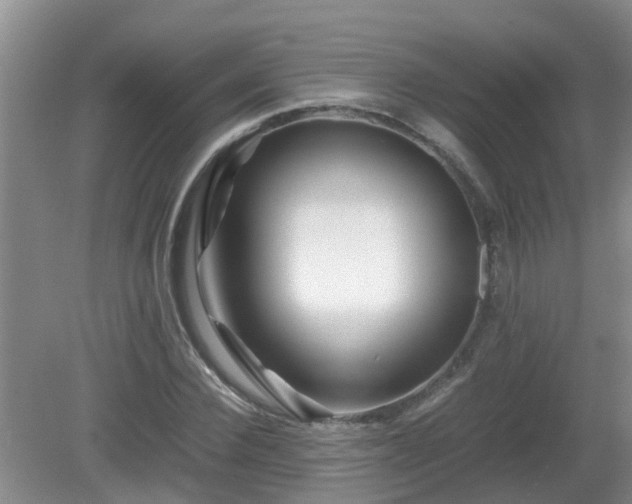 X0000081490924200701191854