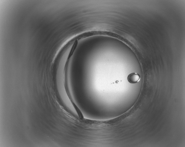 X0000081490926200701191854