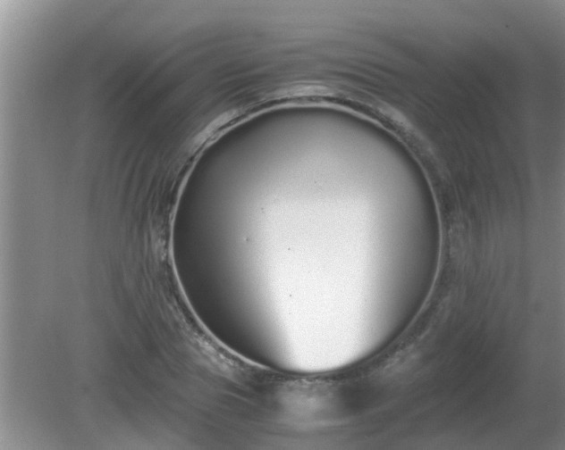 X0000081490929200701191854