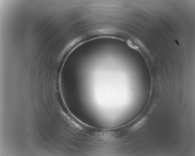 X0000081490930200701191854