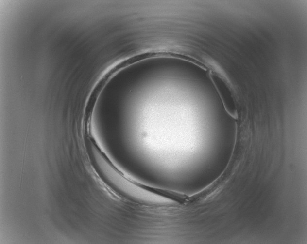 X0000081490932200701191854