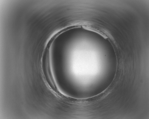 X0000081490936200701191854