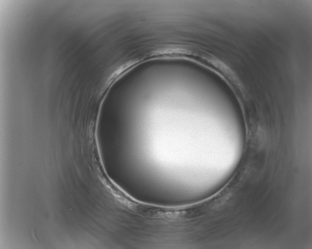 X0000081490937200701191854