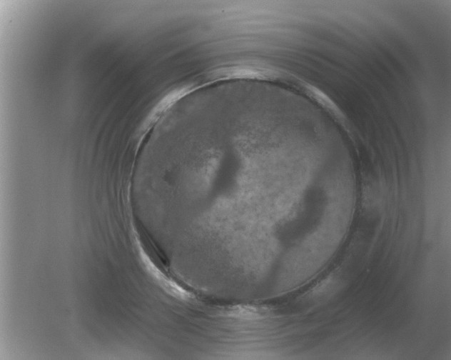 X0000081490938200701191854