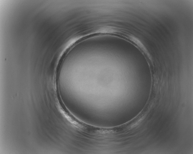 X0000081490939200701191855