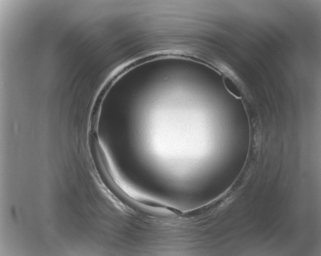 X0000081490940200701191855