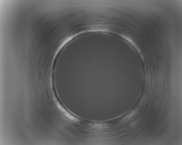 X0000081490941200701191855