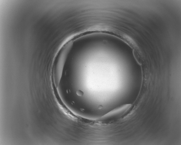 X0000081490942200701191855