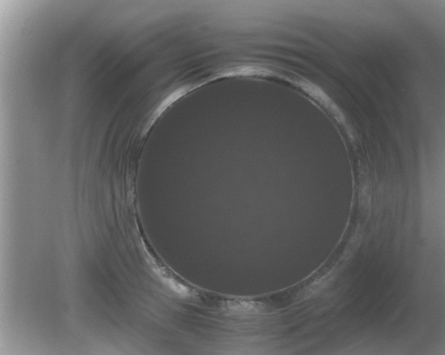 X0000081490945200701191855