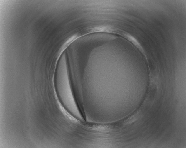 X0000081490946200701191855