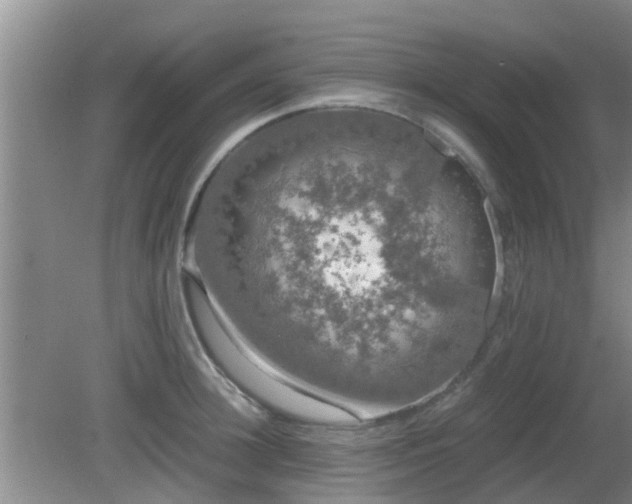 X0000081490948200701191855