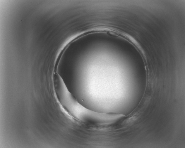 X0000081490951200701191855