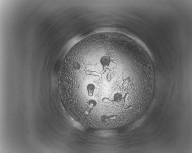 X0000081490953200701191855