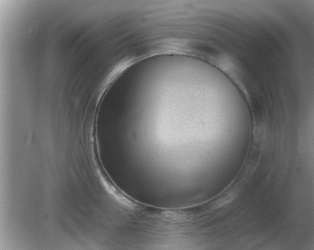 X0000081490954200701191855