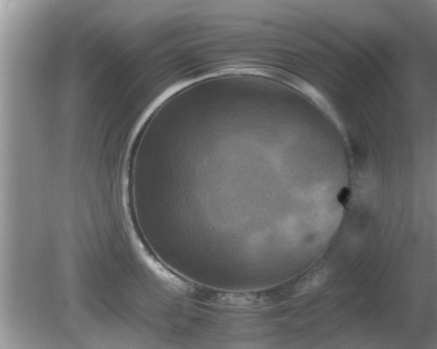 X0000081490955200701191855