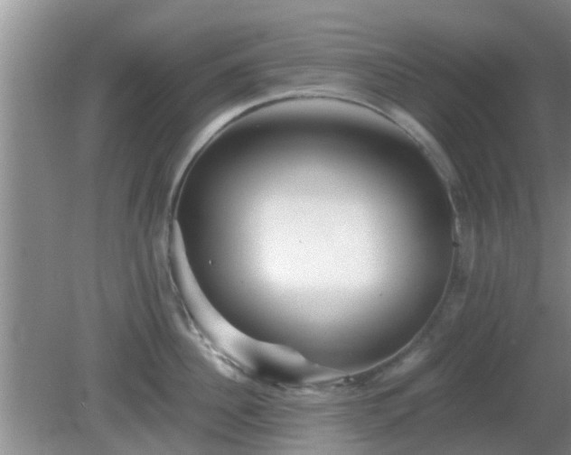 X0000081490956200701191855