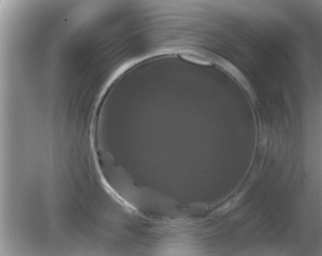 X0000081490958200701191855