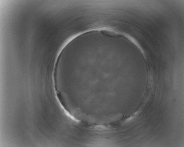 X0000081490959200701191855