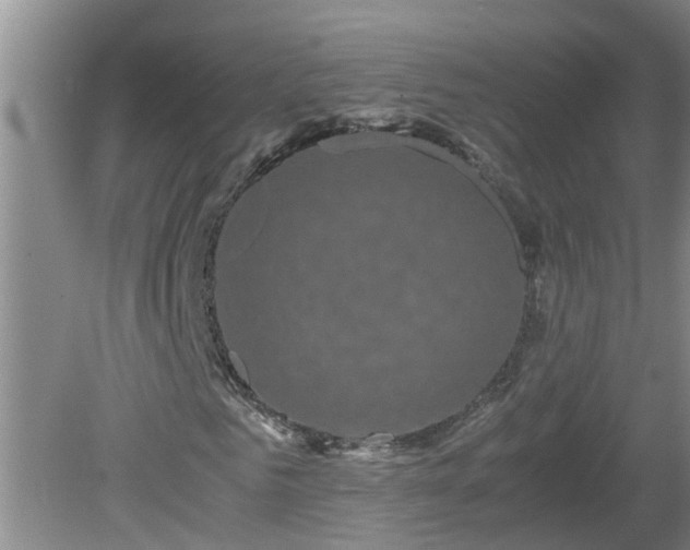 X0000081490961200701191854