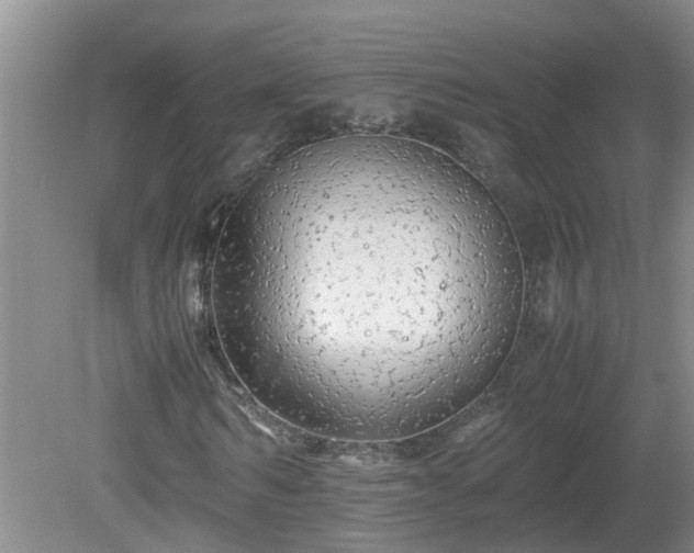 X0000081490962200701191854