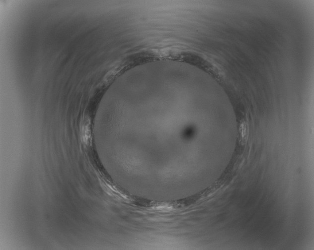 X0000081490963200701191854