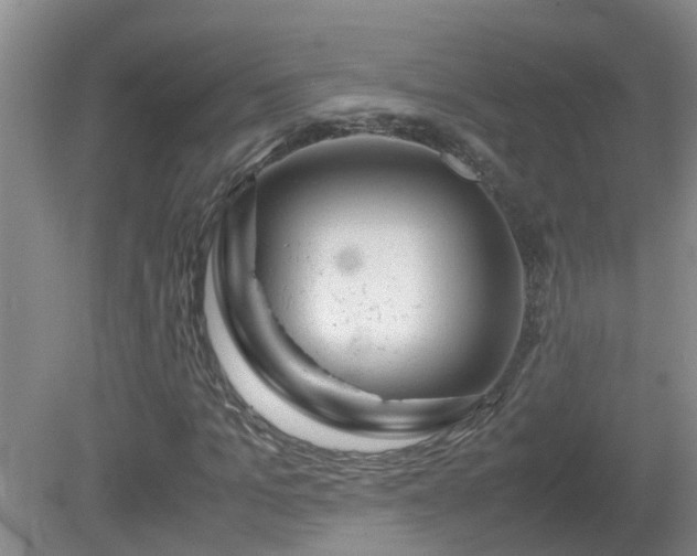 X0000081490965200701191854