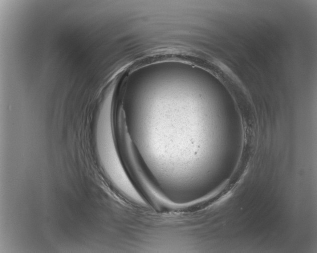 X0000081490969200701191854