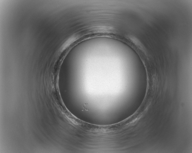 X0000081490970200701191854