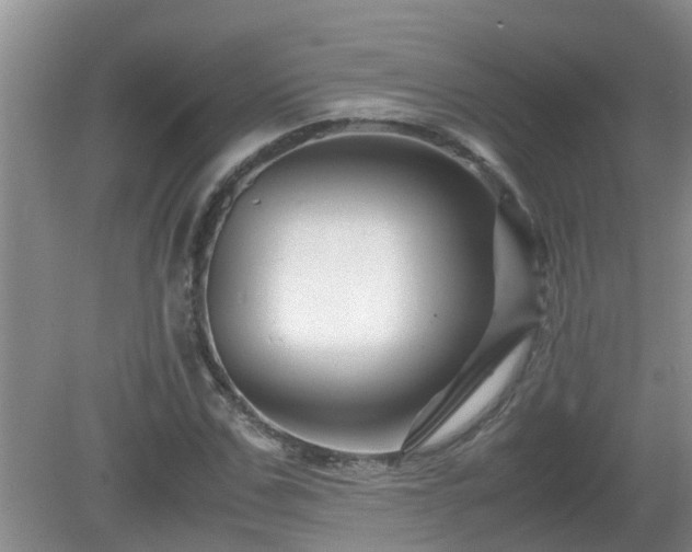 X0000081490971200701191854