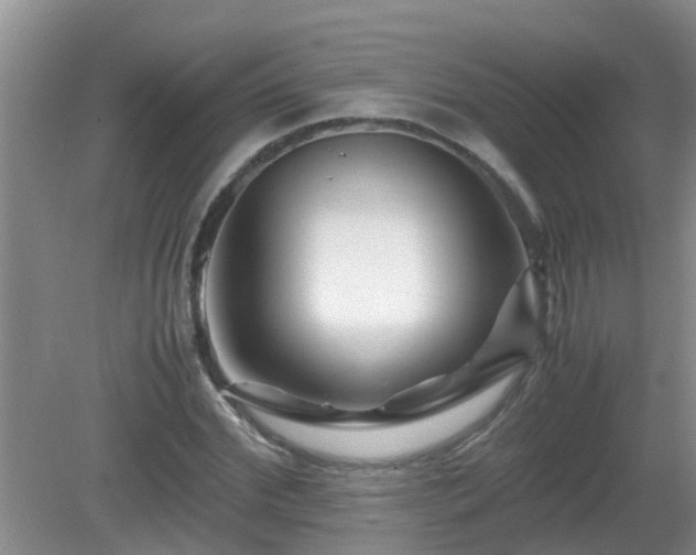 X0000081490972200701191854