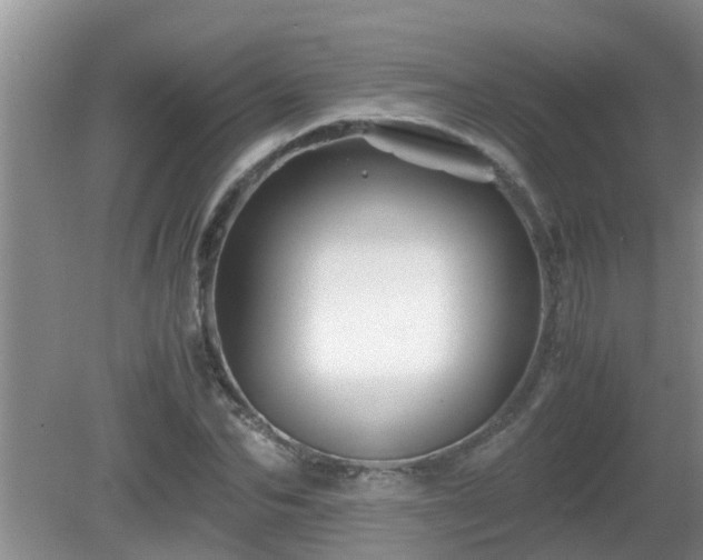 X0000081490974200701191854