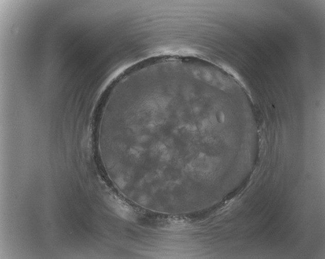 X0000081490975200701191854