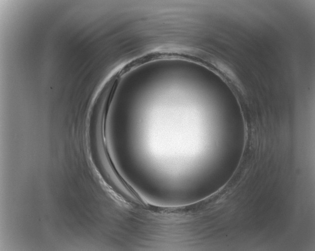 X0000081490976200701191854