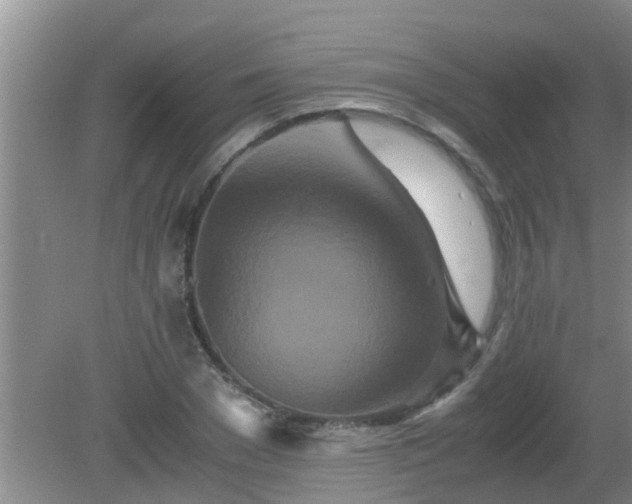 X0000081490977200701191854