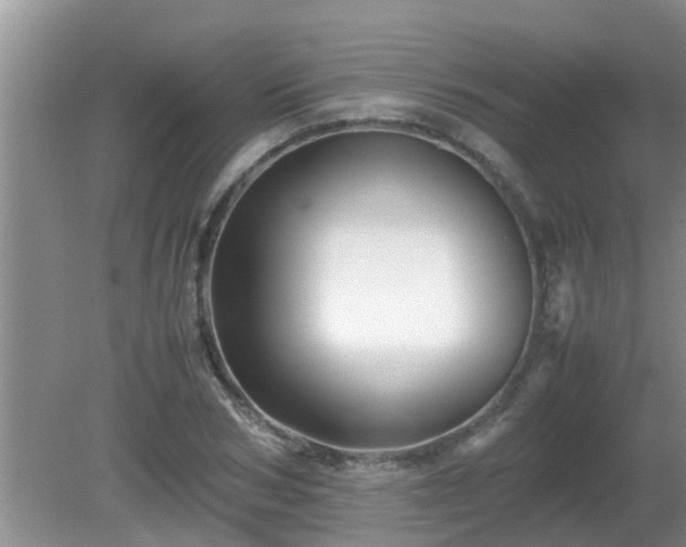 X0000081490978200701191854