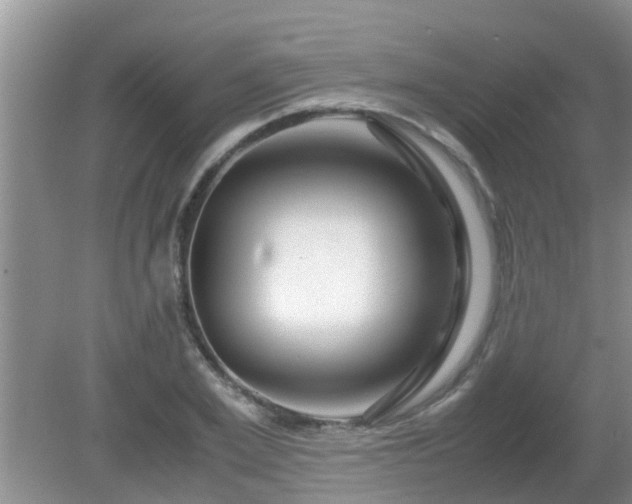 X0000081490981200701191854