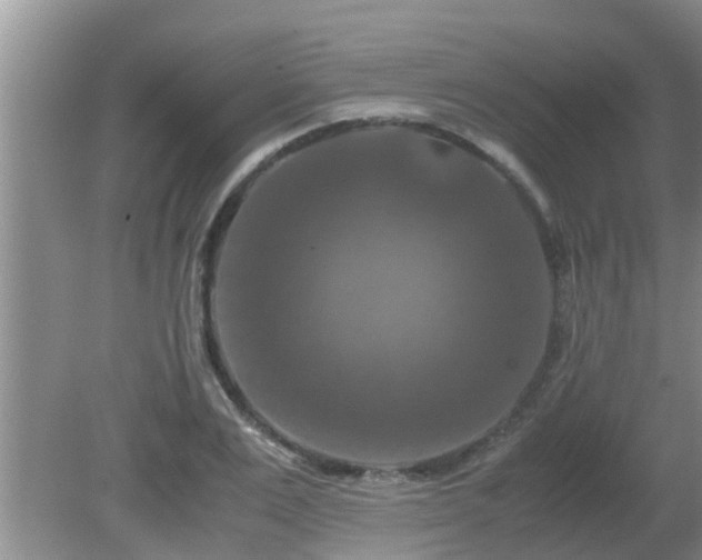 X0000081490983200701191854