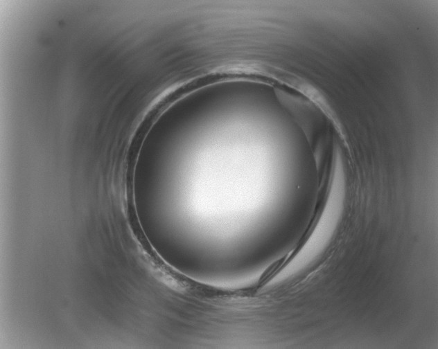 X0000081490984200701191854