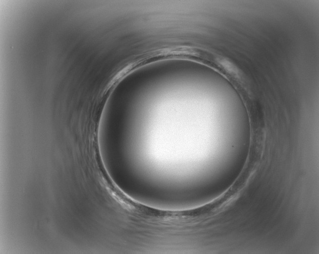 X0000081490985200701191854