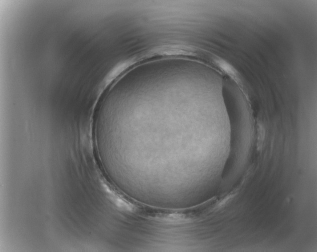 X0000081490986200701191854