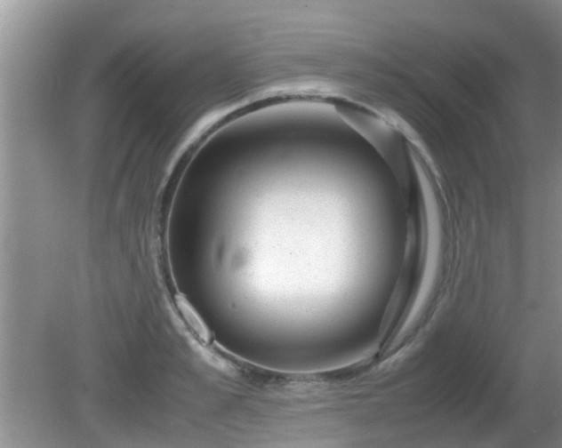 X0000081490989200701191854