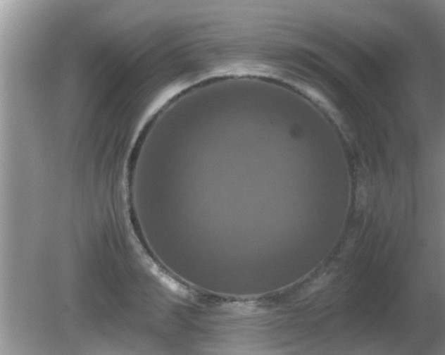 X0000081490990200701191854