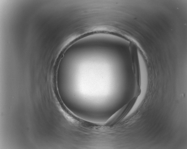 X0000081490991200701191854