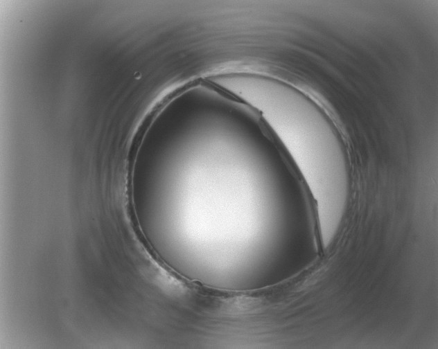 X0000081490992200701191854